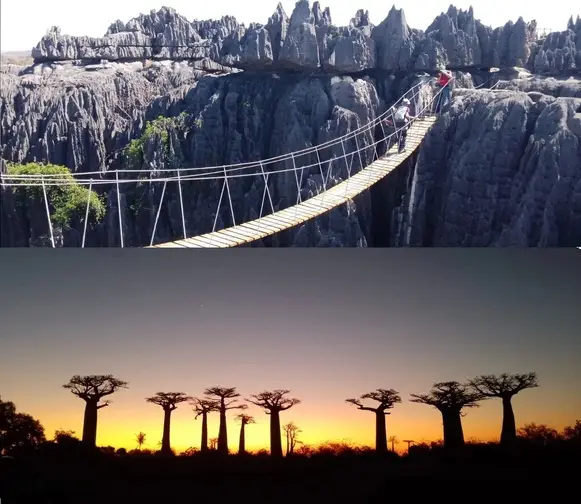 baobab tsingy(1) baobab tsingy(1)